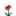 Grid Poppy (Minecraft).png