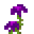 Tall Mystical Purple Flower