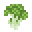Broccoli (Pam's HarvestCraft)