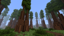 Redwood Forestbiome.png