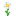 Grid Oxeye Daisy.png